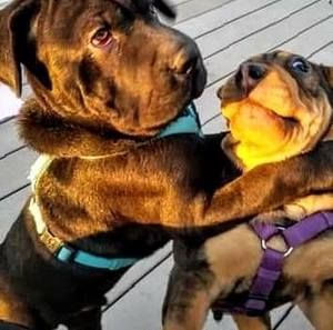 Meet your Posher, Ron